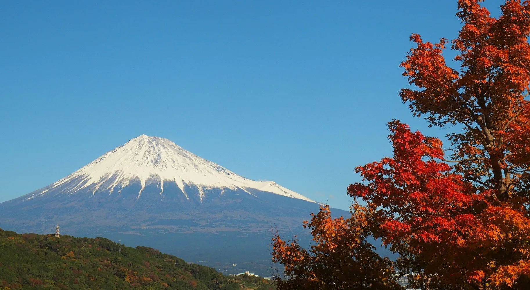 $2399 & up — Japan’s Golden Route: 17 nights incl. tours
